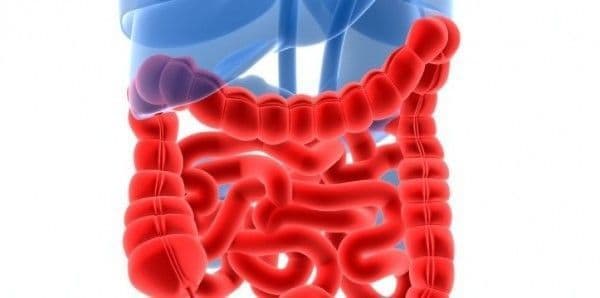 Síntomas comunes relacionados con la enfermedad de Crohn