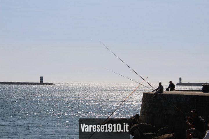 Tipos de cañas de pescar