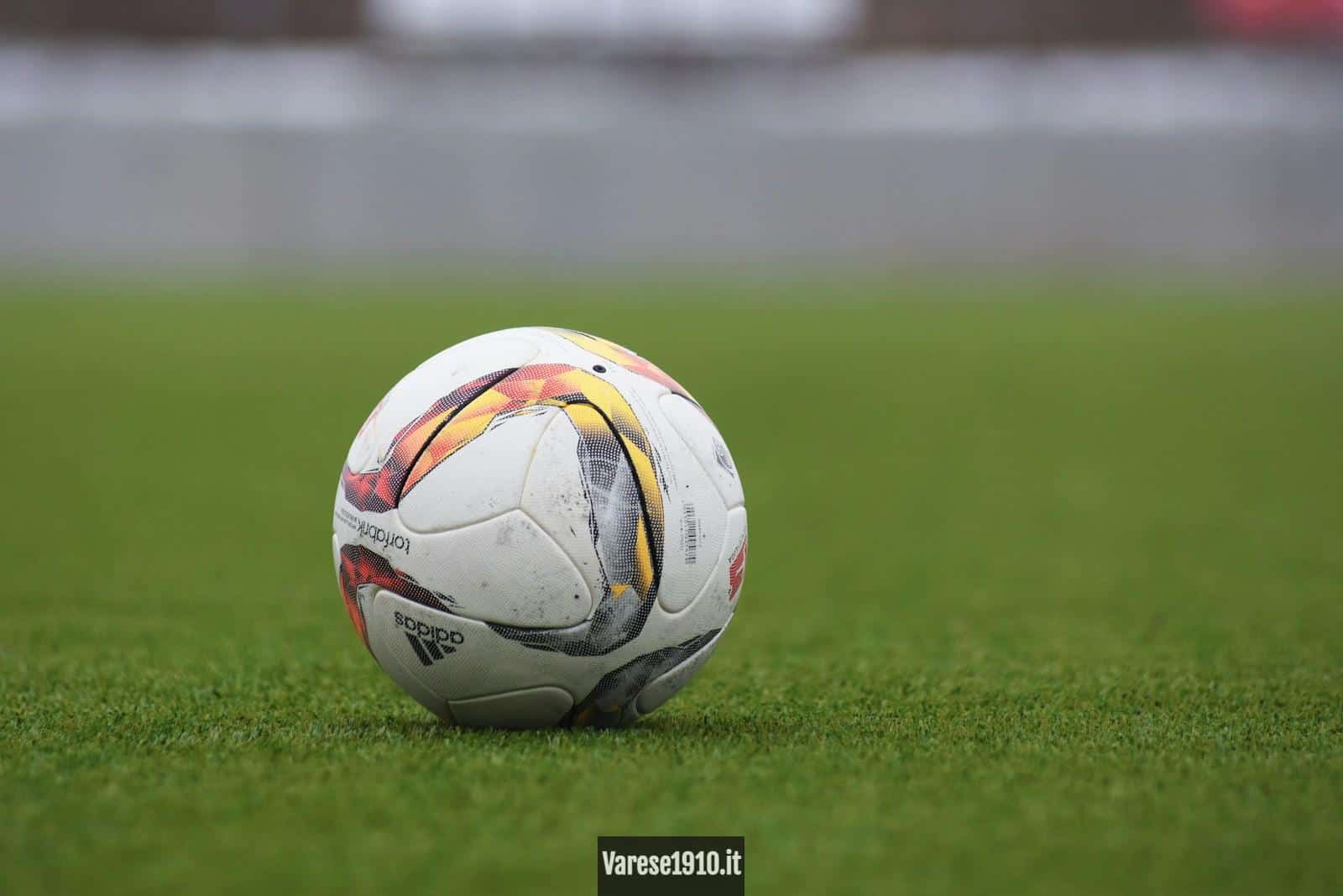 white and gray Adidas soccerball on lawn grass