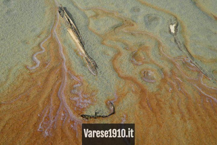 Ácido esteárico: ¿para que sirve?