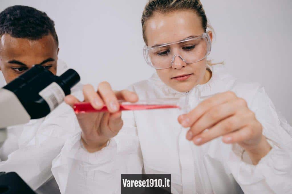Scientists Experimenting in the Laboratory